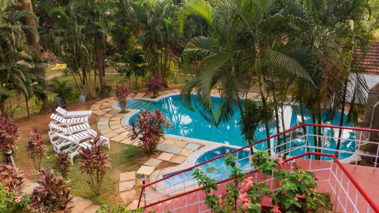 Tropical Valley Resort Morjim Exterior foto